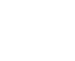 ICON-LOCAL